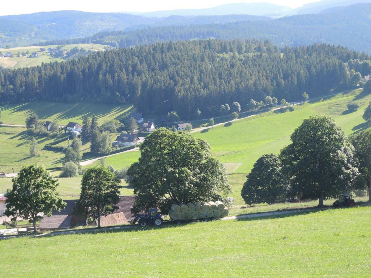 Ferienwohnung Saig Lenzkirch Exteriér fotografie